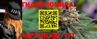 гидропоника Кимры